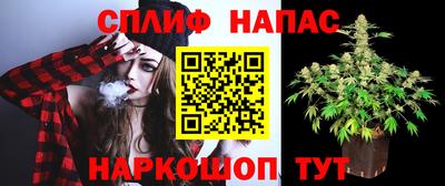 эйфоретик Славгород