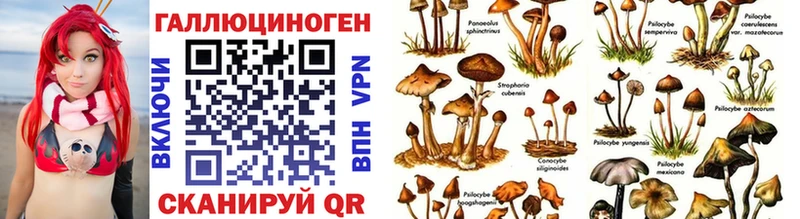Псилоцибиновые грибы прущие грибы Якутск
