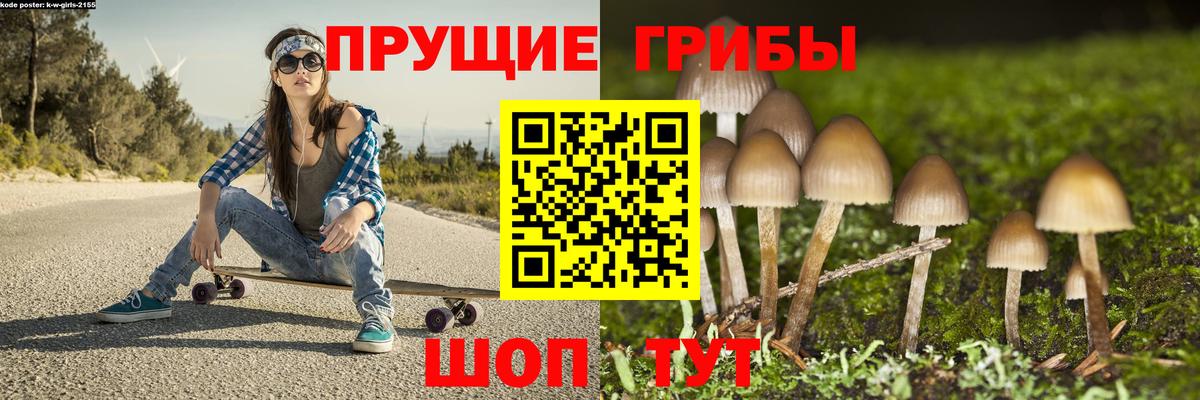 Галлюциногенные грибы мухоморы Якутск